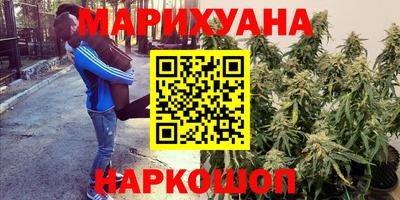 гидропоника Будённовск