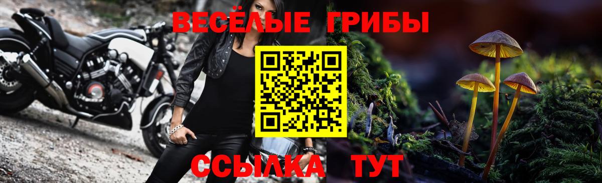 Черемхово  Галлюциногенные грибы мицелий  Вход с VPN 